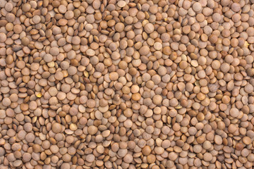 Dried Red Lentils