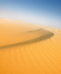 Fototapeta na wymiar pustynny piasek