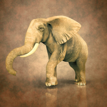Elefante efecto retro