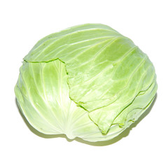 Fototapeta premium fresh cabbage