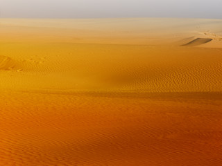 sahara sand desert