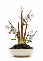 Peach blossom and bamboo in spring