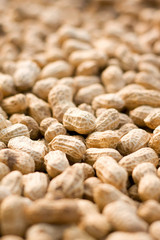 Peanut background