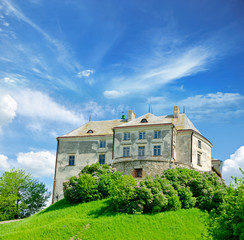 Fototapeta na wymiar Olesko Castle