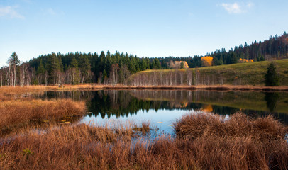 Couleurs automnales sur un &eacute;tang