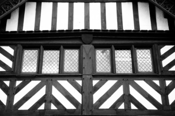 Tudor Abstract Windows