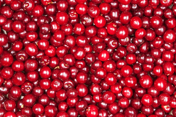 red cherry