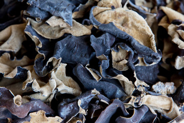 organic jew s-ear ,dried mushrooms