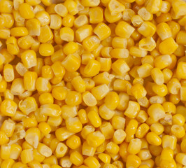 corn seeds close-up, lighting, ambient light