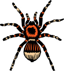 Tarantula
