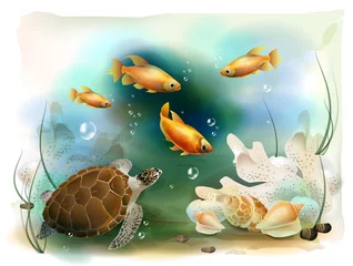 Poster illustratie van de tropische onderwaterwereld © sannare