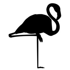 Obraz premium Flamingo Silhouette Vektor