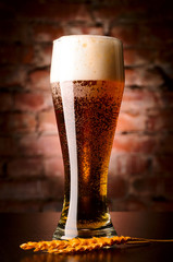 glass of lager on table
