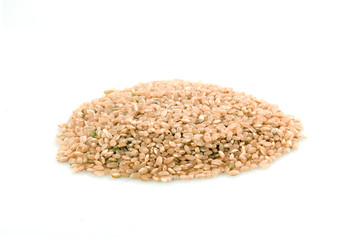 Fototapeta premium brown rice