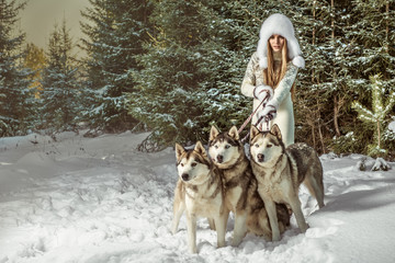 Fashion portrait of beautiful woman with three dogs - 48661325
