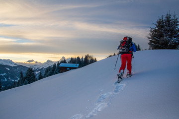 Schneeschuhwanderung im Abendlicht