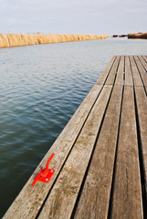 Fototapeta premium Bootssteg am Neusiedlersee mit Öse
