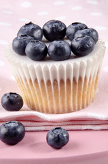 fruchtiger cupcake mit Blaubeeren