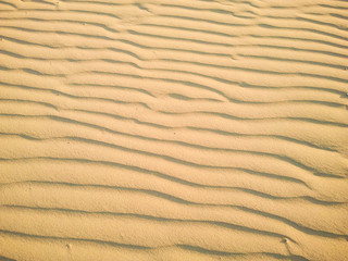 Sandstrand Muschel