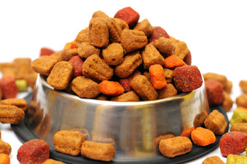 pet food in a silver bowl on a white background
