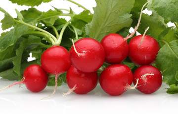 fresh radish