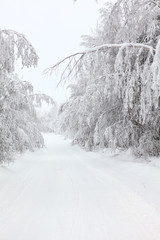 Tranquil empty country winter road with brunches with snow