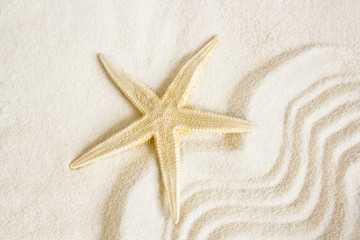 Fototapeta na wymiar seastar on a wavy sand background