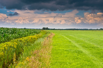 dramatic sky above dutch agricultural landscape