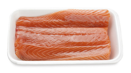 Salmon