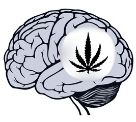 Fototapeta premium brain with sign of marijuana