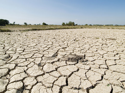 Dried earth because  the land lacked of water