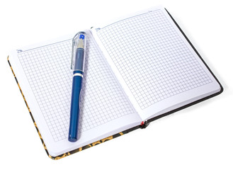 Notebook with blue pen