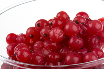 red currant