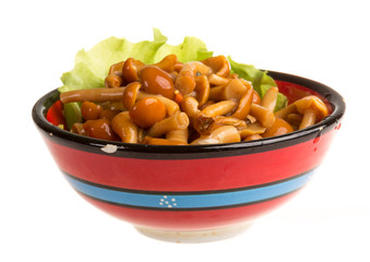 agaric honey at plate