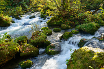 Obraz premium Oirase Gorge in Aomori Pref.