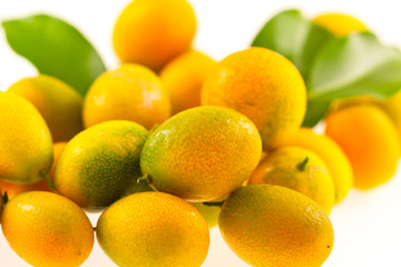 kumquat