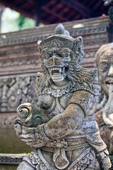 monkey  in Ubud monkey forest, Bali, Indonesia 
