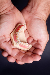 dental wax model