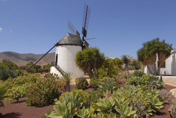 Windm&uuml;hle im Pueblo Majorero, M&uuml;hlenmuseum