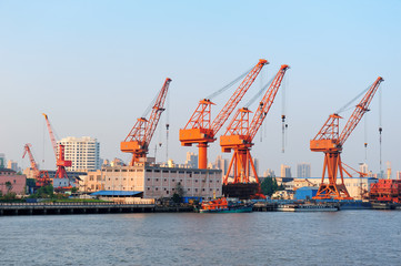 Fototapeta na wymiar Shanghai Port