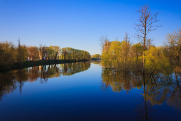 Fototapeta na wymiar Odbicie drzew w rzece o świcie