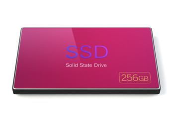 256GB Flash SSD disk with pink color