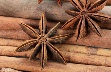 Sticks cinnamon and badian close up