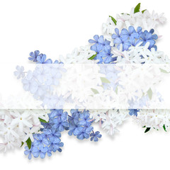 ジャスミンと青い花のフラワーアレンジメント