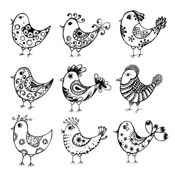 collection of hand drawn cute birds