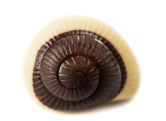 Mixed seafood chocolate candy