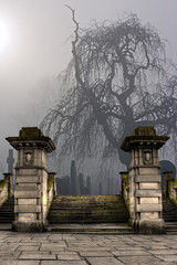 Spooky old cemetery on a foggy day - 48689180