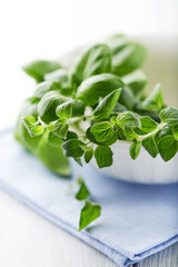 Fresh basil and oregano in a bowl