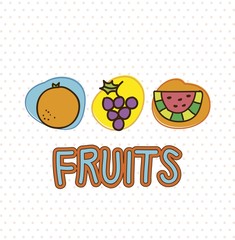 fruits vector