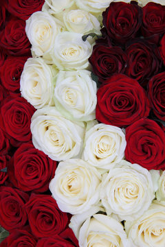 white and red rose Valentine's floral arrangement